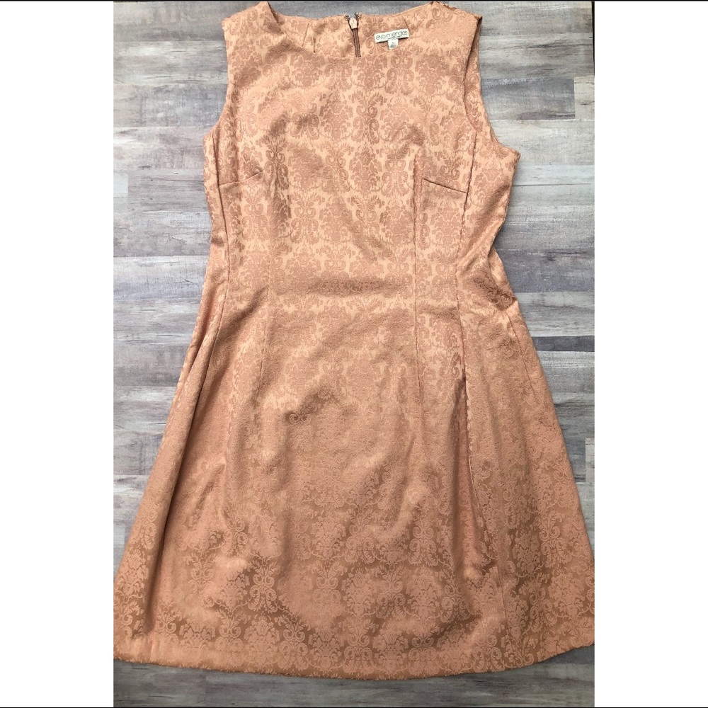 Blush Eva Mendes A-Line Dress, NWT, Size 14 (NY&C)